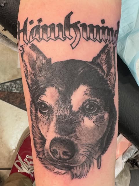 Black and grey dog portrait by Nate Drew